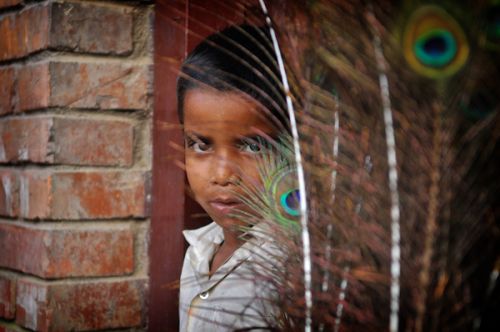 A boy holds a peacock feather during the Krishna Janmashtami festival in Lalitpur on Sunday.