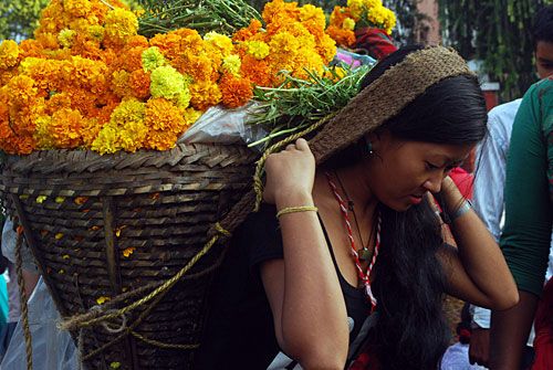 FLOWER GIRL: A young girl carries a basket of marigolds in a market in Bhedetar, Sunsari, on Tuesday, ahead of Laxmi puja when the demand for flowers soars.
