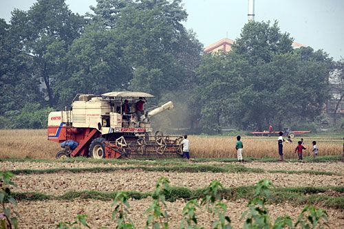 MACHINE POWER: Farmers in Bhethari, a village between Bhairawa-Lumbini highway, use a combine harvester to reap the season's harvest. Usage of tractors in the area has risen in recent years as the young manpower of the village head aboard for employment.