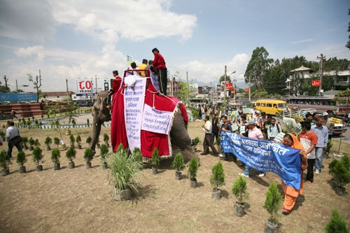 ANIMAL AID: Campaigners for World Environment Day enlisted the help of an elephant at Maitighar on Wednesday.
