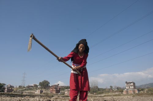 WITH ALL MIGHT: A farmer plows her field under the warm sun on Friday afternoon in Bhaktapur.