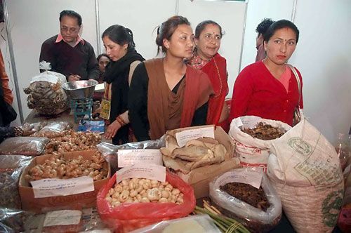 CASHING CROPS: Local farmers sell mushrooms and ginger at the National Agriculture Fair in Bhrikuti Mandap on Friday.