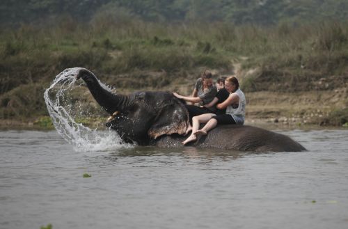 POWER SHOWER: Tourists enjoy an elephant shower in Rapti River, at Sauraha, Chitwan, last week.