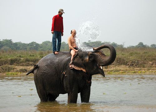POWER SHOWER: A tourist enjoys an elephant shower in Rapti River, at Sauraha, Chitwan, on Sunday.