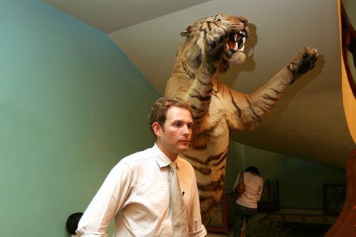 THIS IS CNN: A CNN reporter poses for a picture in front one of the two stuffed tigers after the press conference.