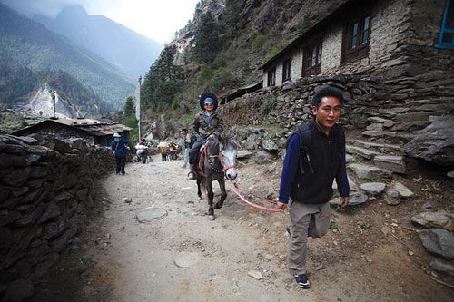 EASY TREK: A guide leads a tourist on a horse early Thursday morning from Phakding back to Lukla.