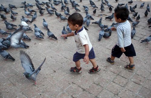 FLY AWAY: Childern play with pegions in Basantapur Darbar Square earlier this week.