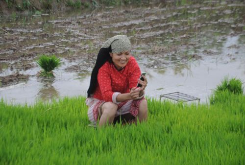 TALK TIME: A farmer in a field in Harisiddhi, Lalitput, takes a break from plantation on Tuesday. PIC