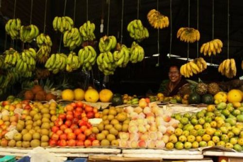 FRUIT FIESTA: A fruit vendor at Shree Complex in Pokhara waits for customers. PIC
