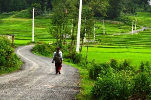 TIME OUT: A school girl from Bhyandol, Kabhre walks back home after end of the classes. PIC