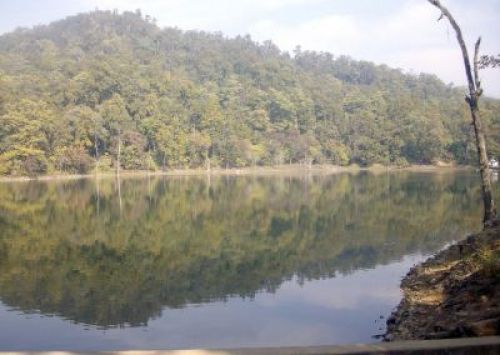 MIRROR IMAGE: A lush green forest gets reflected on Bedakot Lake in Kanchanpur. PIC