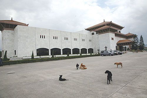 DOG DAYS: Canine denizens of the Constituent Assembly parking lot enjoy the peace and quiet as the capital came to a halt yet again on Thursday because of a strike called by four minor parties to protest inflation. Towards the afternoon, the dogs had to make way for the arrival of the assembly members.