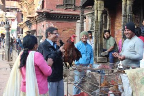 THE PRICE IS RIGHT: A couple haggle over the price of a rooster with a street-side vendor near Nyatapol Temple in Bhaktapur on Sunday.