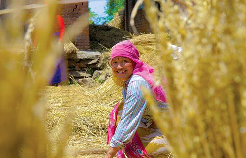 OPERATION SMILE: After a long day in the fields, a woman is satisfied with her harvest in Godawari.