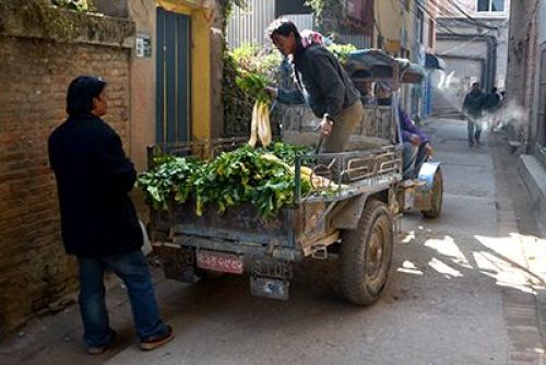 MORNING DISCOUNT: A mobile vegetable seller offers his fare at a cut-price to a local resident of Patan on Tuesday morning.