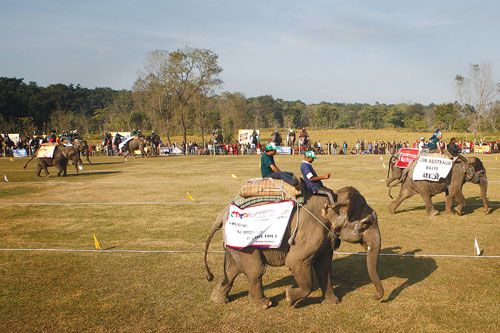 ON YOUR MARKS: Elephants and mahouts do their best to finish first during the 9th International Elephant Race at Sauraha, Chitwan, on Wednesday.