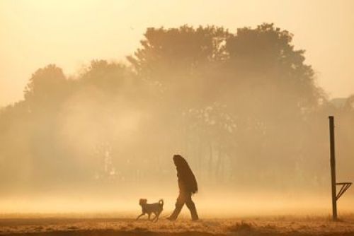 CHILL OUT: A man walks with his dog defying early morning low temperatures, near Vishnumati River, on Wednesday.