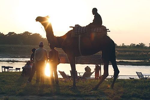 NOT THE SAHARA: But Sauraha. A tourist lodge in Chitwan tries out camel rides on the banks of the Rapti River at the edge of the national park on Monday.