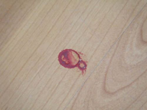RED: A patch of blood on the floor of one of the staff who was injured in the attack on Himalmedia on Sunday.