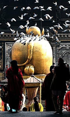 YEAR OF THE OX: A view of the inner sanctum of Pashupati on Wednesday as Prime Minister Pushpa Kamal Dahal partially retracted his removal of priests