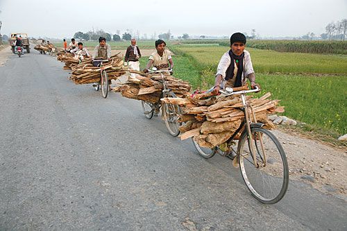 ON THE SLY: Poachers transport stolen firewood from protected forest in Kalaiya on Sunday.