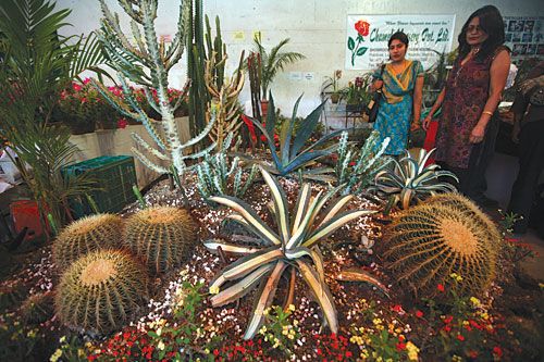 DAZZLING: A display of flora draws visitors on Monday, the last day of the 13th Floriculture Trade Fair in Bhrikuti Mandap.