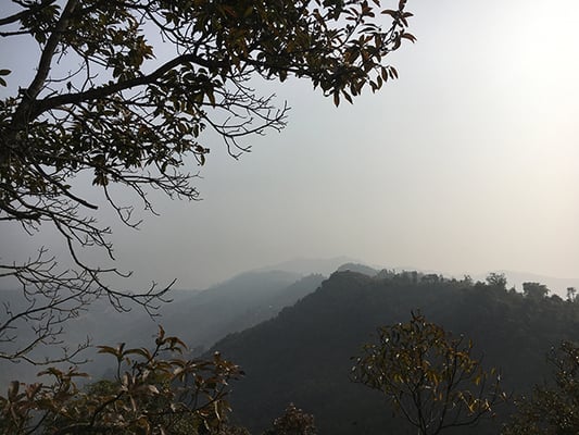 No tiger, no mountain
