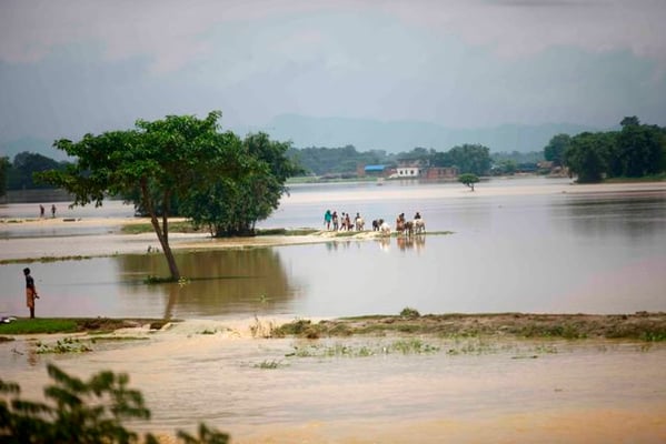 Submerged lives