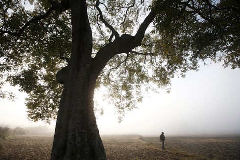 WINTER IS COMING: A man walks by empty fields in Khokana on Tuesday morning.