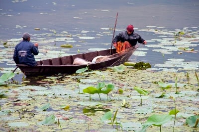 ROW YOUR BOAT: Villagers lay out a fishing net which they will draw in the next morning, in Phewa Taal, Pokhara on Tuesday evening.