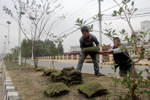 Workers plant grass in preparation for the upcoming SAARC summit on Tuesday.