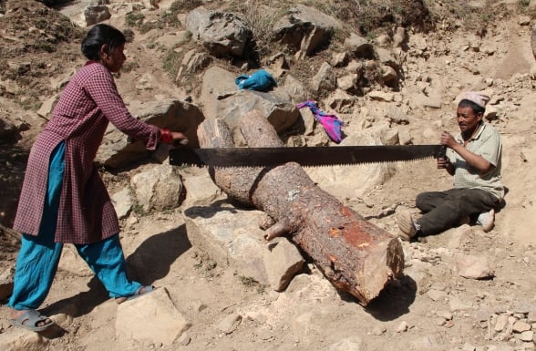EQUALS: Villagers near Dandafaya in Humla cut a tree log on Saturday afternoon.
