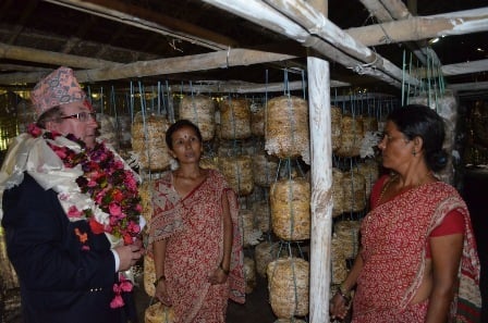 MUSHROOMING ENTERPRISE: British Ambassador Andy Sparkes met farmers in Jhapa's Dharmapur village on Wednesday. He visited the village to see mushroom farms supported by UK government.