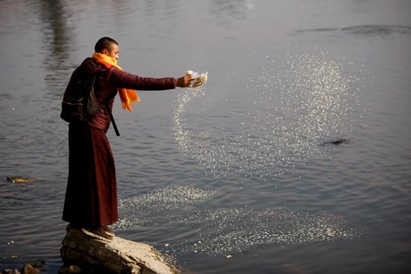 A monk feeds the fish in a pond at Taudaha on the outskirts of Kathmandu on Tuesday.
