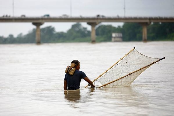 A fisherman casts his net to catch fish in the Narayani River, Chitwan on Monday.