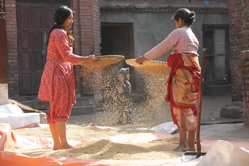 ACROSS GENERATIONS: Mother and daughter use their nanglos to thresh their newly harvested rice at Bhaktapur on Monday.