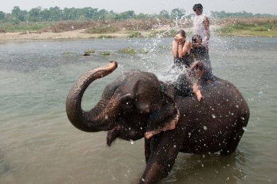 SHOWER TIME: Tourists cover their face as an elephant sprays water during its bath at Rapti River, Chitwan on Wednesday.