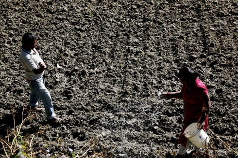 QUICK FIX: A couple spread fertiliser on their farmland on Wednesday morning in Changu Narayan, Bhaktapur.