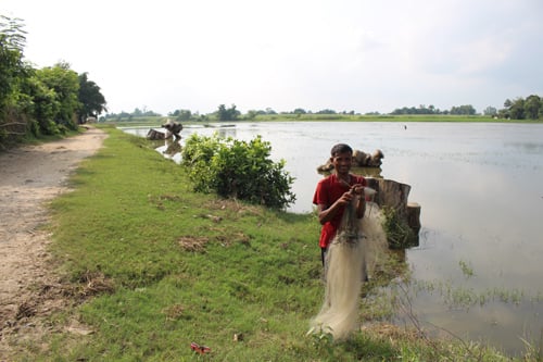 A farmer forced to fish in the waters where his farm used to be in Phattepur. More than 3,500 families are affected by the flood of 14 August.