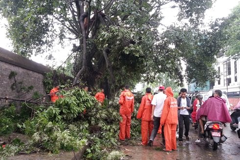 CLEAN UP: Police clear up tree branches that fell due to heavy rain and caused a road block at Darbarmarg on Monday.