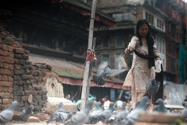 A woman feeds pigeons at Basantapur on Friday.