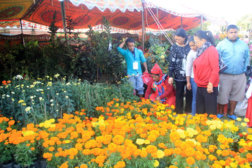 Visitors attend the 8th Godavari Mela at Jawalakhel on Monday. Around 220,000 flowers have already been sold.
