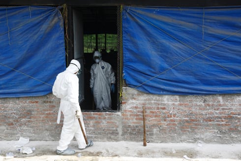 FLU ALERT: Members of a rapid response team get ready to clean a poultry farm infected by the H5N1 bird flu virus in Bhaktapur on Friday.