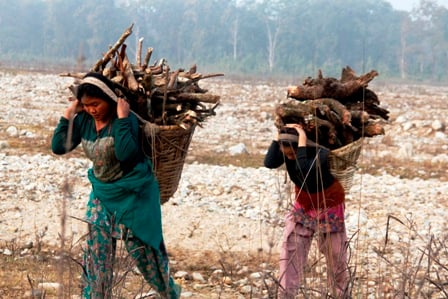 HARD WORK: Women from Hadikhola, Makwanpur return home after collecting firewood from Chitwan National Park.