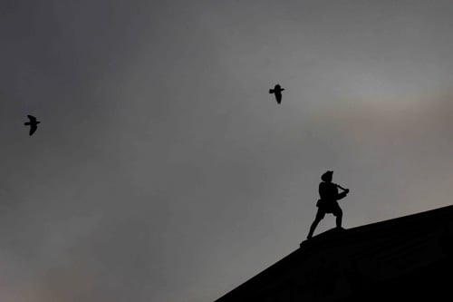 Birds fly over a statue on a building in New Road on Sunday.
