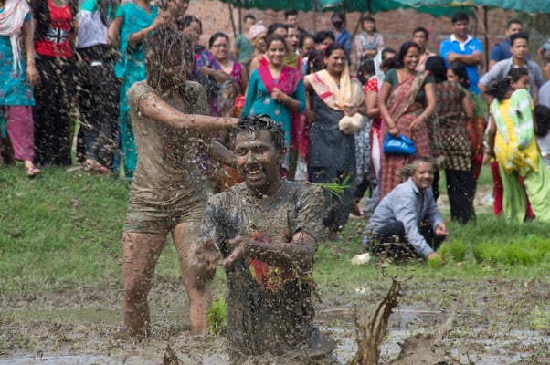 Participants play in the muddy fields in celebration of the season of paddy planting on Asadh 15 at Banepa.