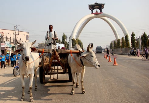 GET SET GO : A bullock cart driver waits for passengers at Ramananda chowk in Janakpur on Sunday.