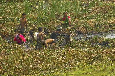 MIRACULOUS CATCH: Villagers fishing near the Koshi Bridge in eastern Tarai.