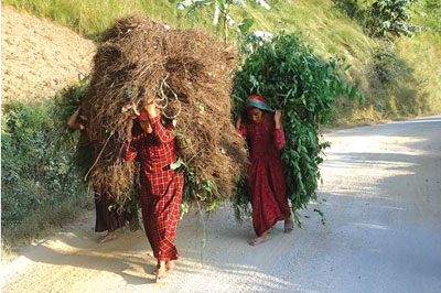 HEAVY WEIGHT Women walk long distances to gather fodder for their livestock and carry back the heavy loads on their heads in Ballatole, Arghakhanchi district.