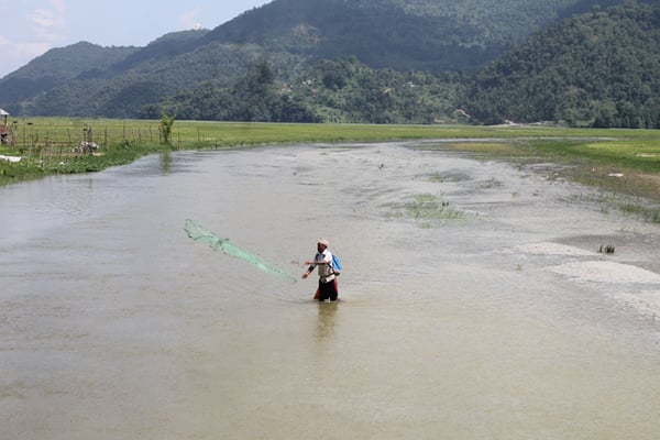 A villager fishes in Harpan Khola in Pokhara on Friday. The river that feeds Fewa Lake is muddy and swollen after this week's rains.